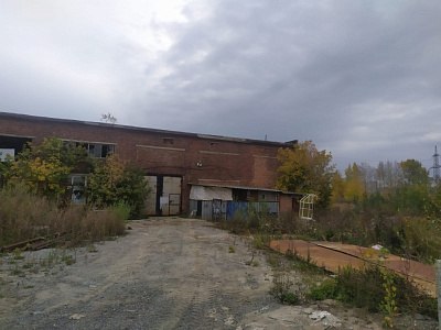г. Новосибирск