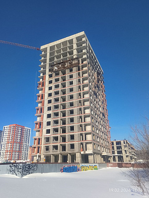 Норвежский лес