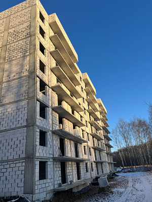 г. Ярославль, Улица Дядьковская