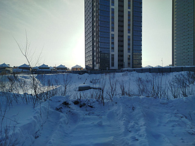 Расцветай на Зорге