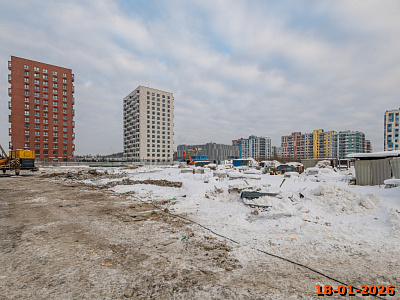 Янинский лес