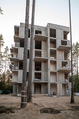 Резиденция Рощино