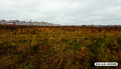 Жукова парк