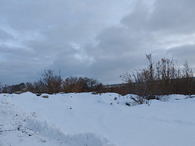 Цветной бульвар
