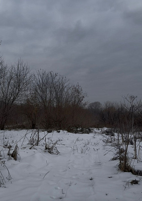 село С Новолуговое