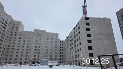Село Засечное, ул Новая