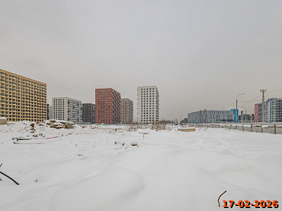 Янинский лес
