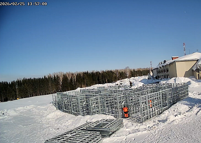 Ёлки город в лесу (Корпус 4)