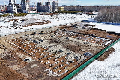 Скандиа. Квартал у Леса