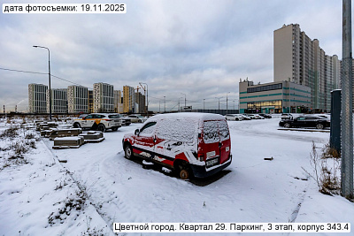 Цветной город