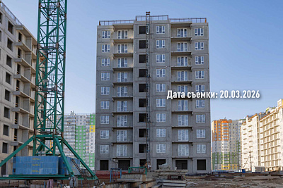 Концепт-проект