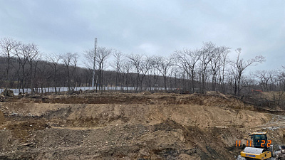 Зелёные высоты
