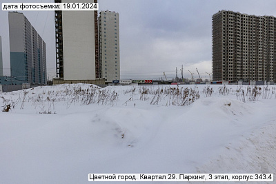 Цветной город
