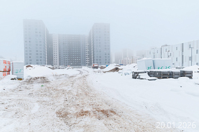 Парголово