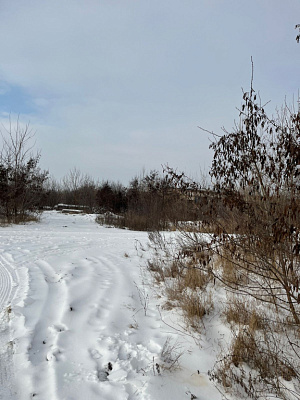 г. Тамбов, улица Заводская