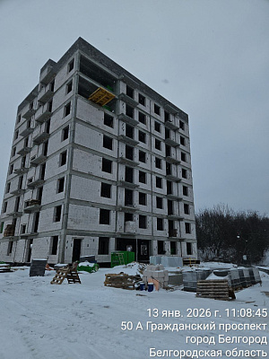 г. Белгород, ул Донецкая