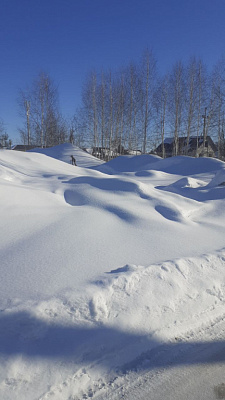 г. Бердск