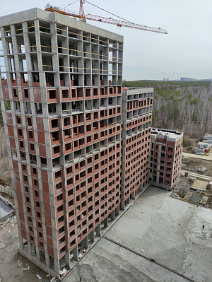 Первый Академ