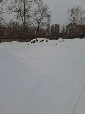 Синица на Куйбышева