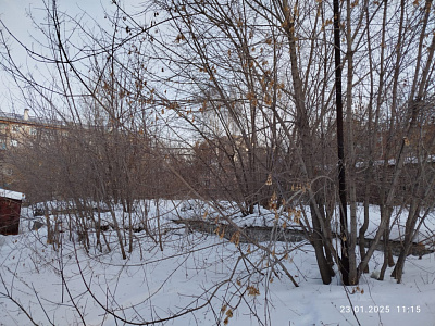г. Новосибирск