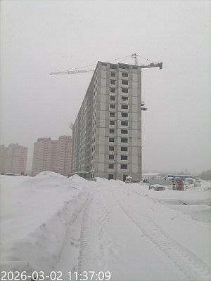 г. Тула