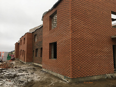 ЛО, Городской поселок Фёдоровское, Улица Меньшиковская