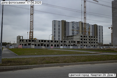 Цветной город