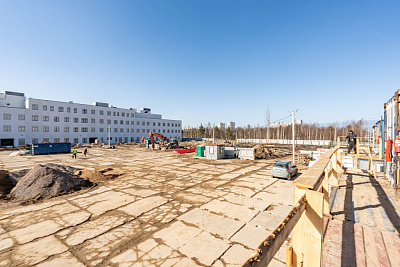г. Санкт-Петербург, г. Парголово, Пригородный