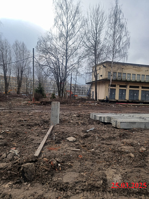 ID Petrogradskaya