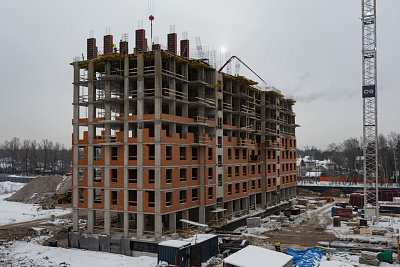 Брусника в Новоселье