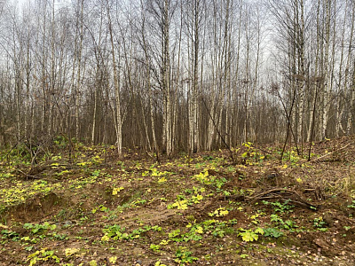 Павлово-3