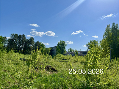 г. Чайковский, Улица Ленина