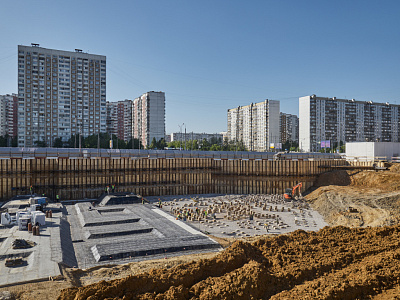 РОДИНА ПЕРЕДЕЛКИНО