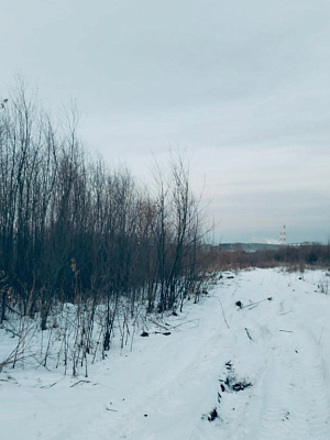 село С Новолуговое