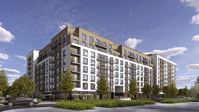 Брусника в Академическом