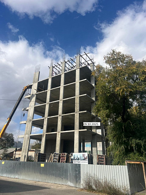 г. Благовещенск