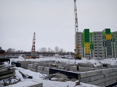 Березовая роща
