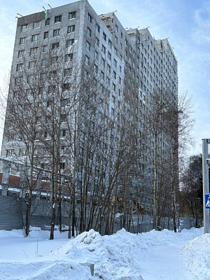 КУРКИНО15
