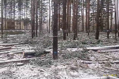 ВЕРЕН НОРТ СЕРТОЛОВО