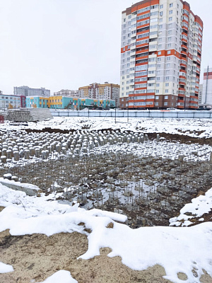 г. Брянск, Улица Улица Романа Брянского