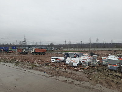 Парголово