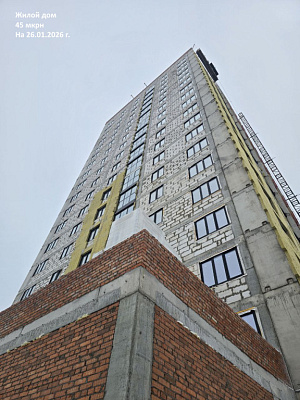 г. Нижнекамск, 45