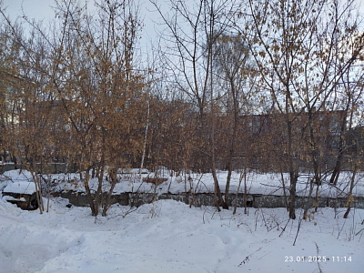 г. Новосибирск