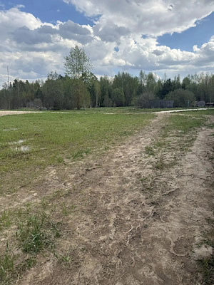 МО, Деревня Митькино