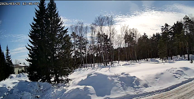 Ёлки город в лесу (Корпус 2)