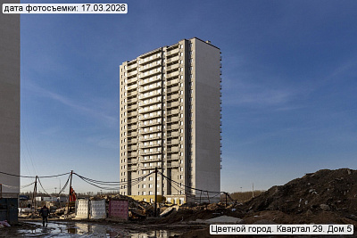 Цветной город