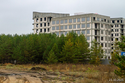Экосити