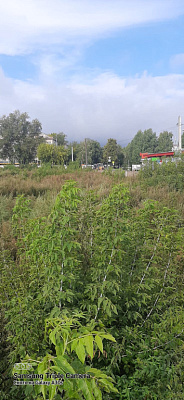 г. Новосибирск, ул Приморская