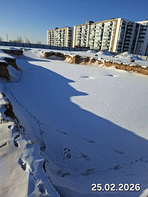 Деревня Борисовичи