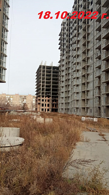 г. Омск
